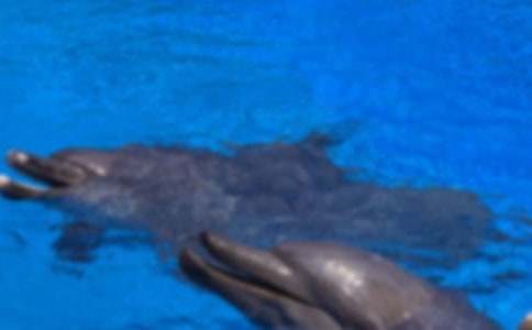 ӛ���е�С�����������ģ����x44ƪ��