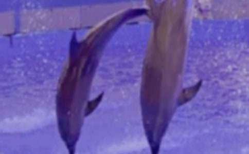 �������������ӻؼҸ���_750��