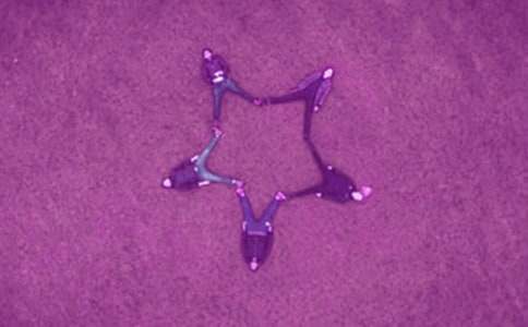 �����ɺ�������500�֣����x18ƪ��