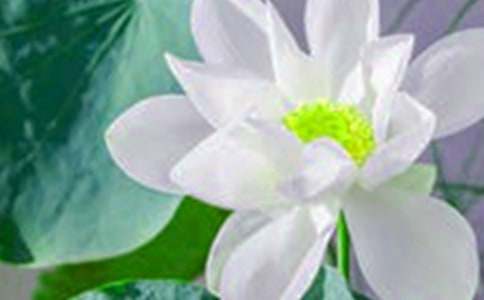 ����һ��ɻ�����700�֣�ͨ��19ƪ��