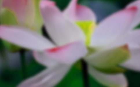 �ɻ�������200��