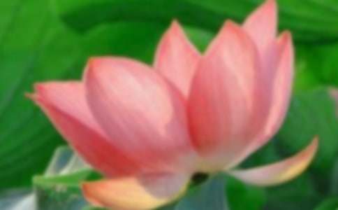 ���ۺɻ���������500��