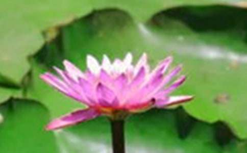 ����Ʒ���ɻ�������300��27ƪ