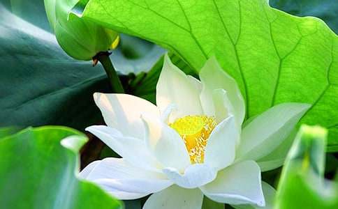 ���ɻ����ģ�ͨ��114ƪ��