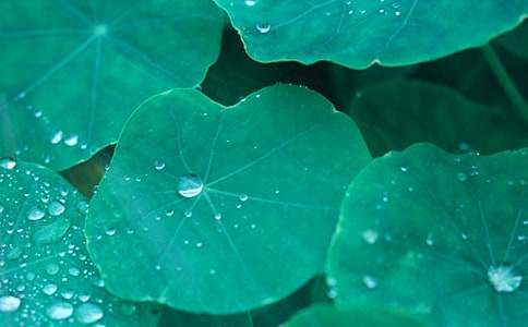 ��Ը��ĸ�H��һ�غ��~����700��-������������