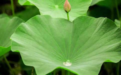 ��Ը��ĸ�H��һ�غ��~����