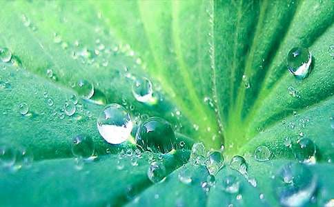 һ�꼉�����~�A�A���̌W�OӋ�ڶ��n�r��ͨ��17ƪ��