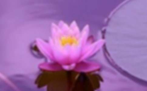 �Ժ��C���}����