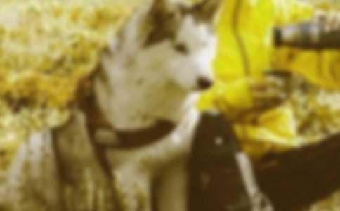 �Ժ��C��Ԓ�}������500�֣����x18ƪ��