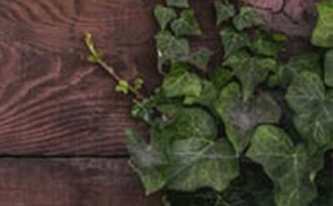 �����C����Ԓ�}����