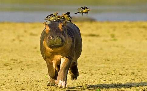 С���R�_������