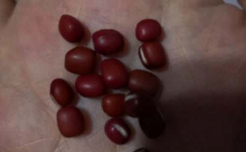 �����x���t������300��30ƪ