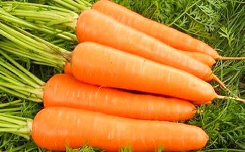 �茑���}��������350��