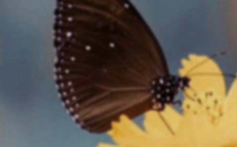 õ���������