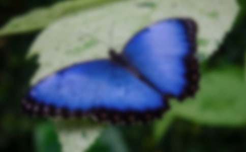 �����ĺ�������̰��OӋ�����x7ƪ��