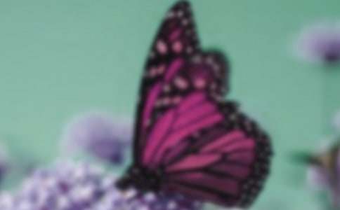 �^��������ģ�ͨ��29ƪ��