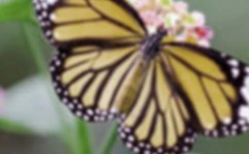 ���᡿�^���������