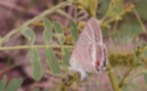 �茑�������������ģ�ͨ��14ƪ��