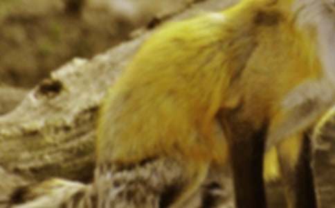 ����؂�͞��f������̌W�OӋ�����x10ƪ��