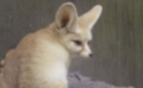 ��؂�͞��f�Ĺ�������