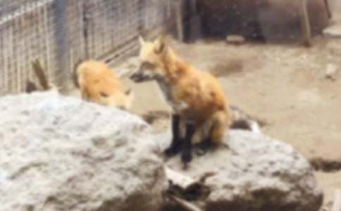 ��؂�ͺ����m������