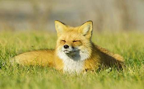 ��؂�Ϯ���-���꼉-ӛ����