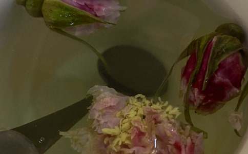 �ջ�������800�֣����x16ƪ��