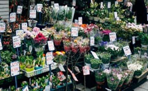 ���ꄓ�IӋ�����ϼ�15ƪ