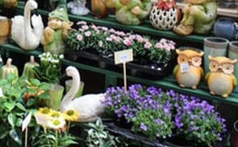 花店商業計劃書范文