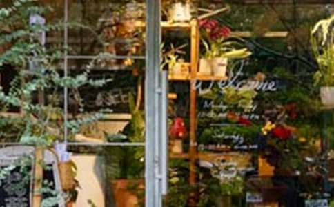 ����Ą��IӋ����