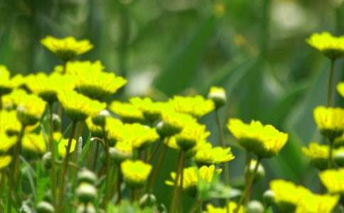 �_��ӛ����̎�Ļ�������936��_��һ����