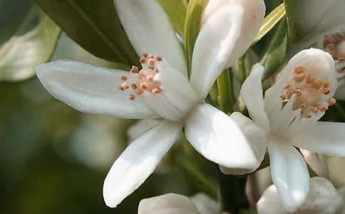 �_��ӛ���еĻ��������600�֣�ͨ��15ƪ��