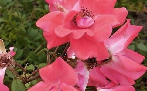 ����Ļ�������400�֣����x17ƪ��