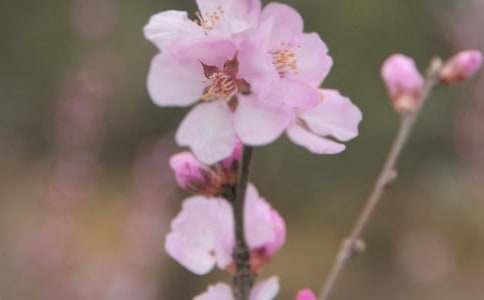 ���o����С�W���ģ����x10ƪ��