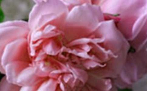 ��ӛ���еĻ��������