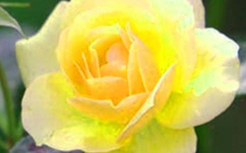 �P�ڰ�ȫ�����ģ����W�j�������ɵĻ���