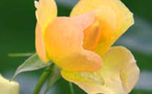 �_��ӛ����̎�Ļ������ļ��\10ƪ