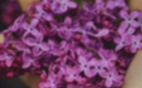 ���ݴ��컨����~�Z