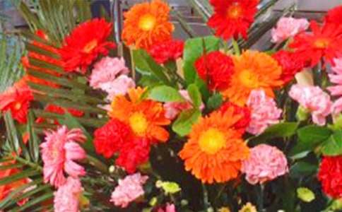 寫在花籃上的賀詞