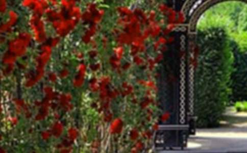 ���ƌW����̰����̌W��˼�������ӵĻ��@��