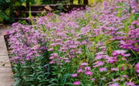 ������ħ�����@