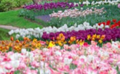 ���»��@�x����ЌW��1000������