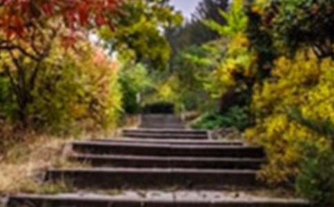 �������@����600�֣����x39ƪ��