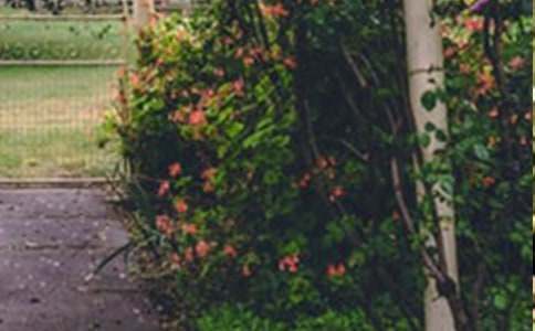 ���Ļ��@С�W����