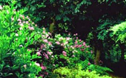 �λ��@����600��10ƪ�����x21ƪ��