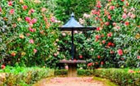 �|ꖻ��@��һ����_700��