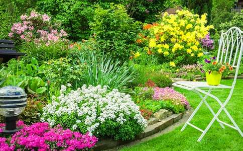 我眼中的百花園作文