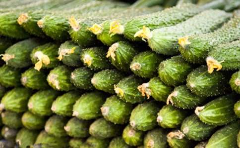 �P���^���S�����L������