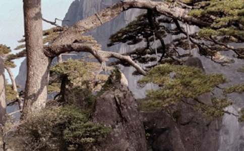 關于描寫黃山霧的優秀作文