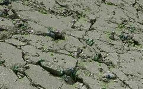 ����������վ�������